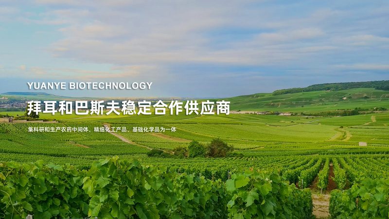 PCR检测费用揭秘：影响价格的关键因素