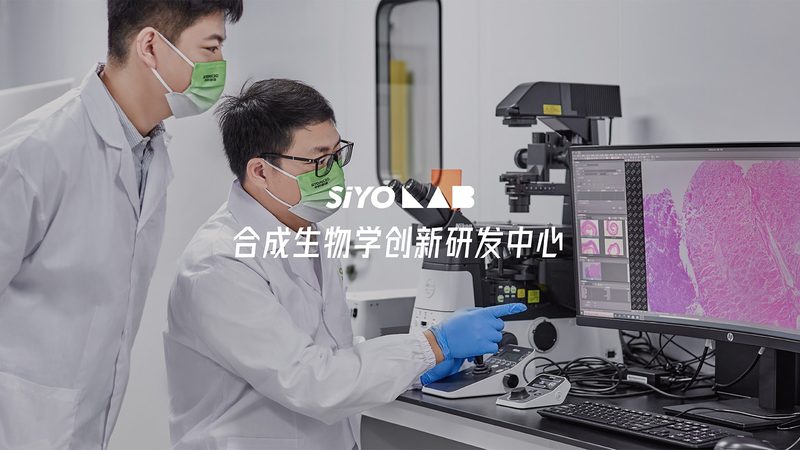 抗体亲和力检测：医药研发的关键一步