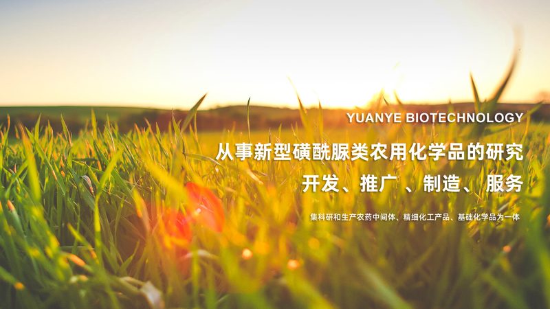 细胞培养基：解锁细胞培养的多样用途