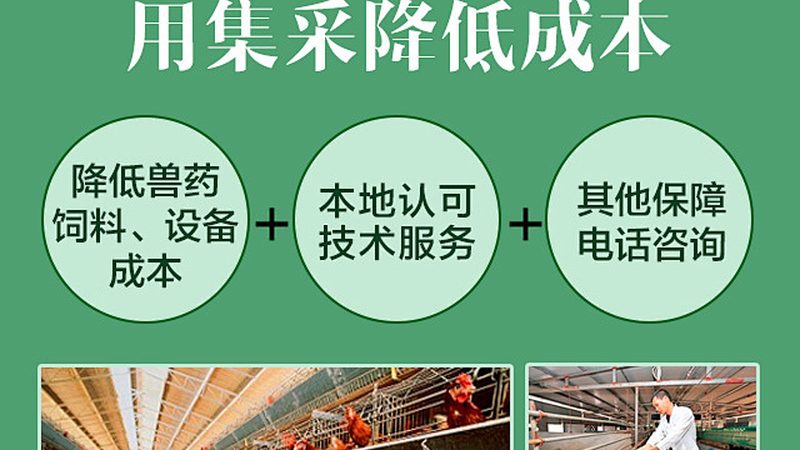 CRO代理加盟：揭秘背后所需的资质与标准**